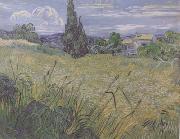 Vincent Van Gogh Green Wheat Field with Cypress (nn04) oil painting reproduction